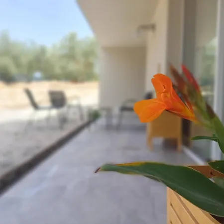 Apartamento Itedolu *